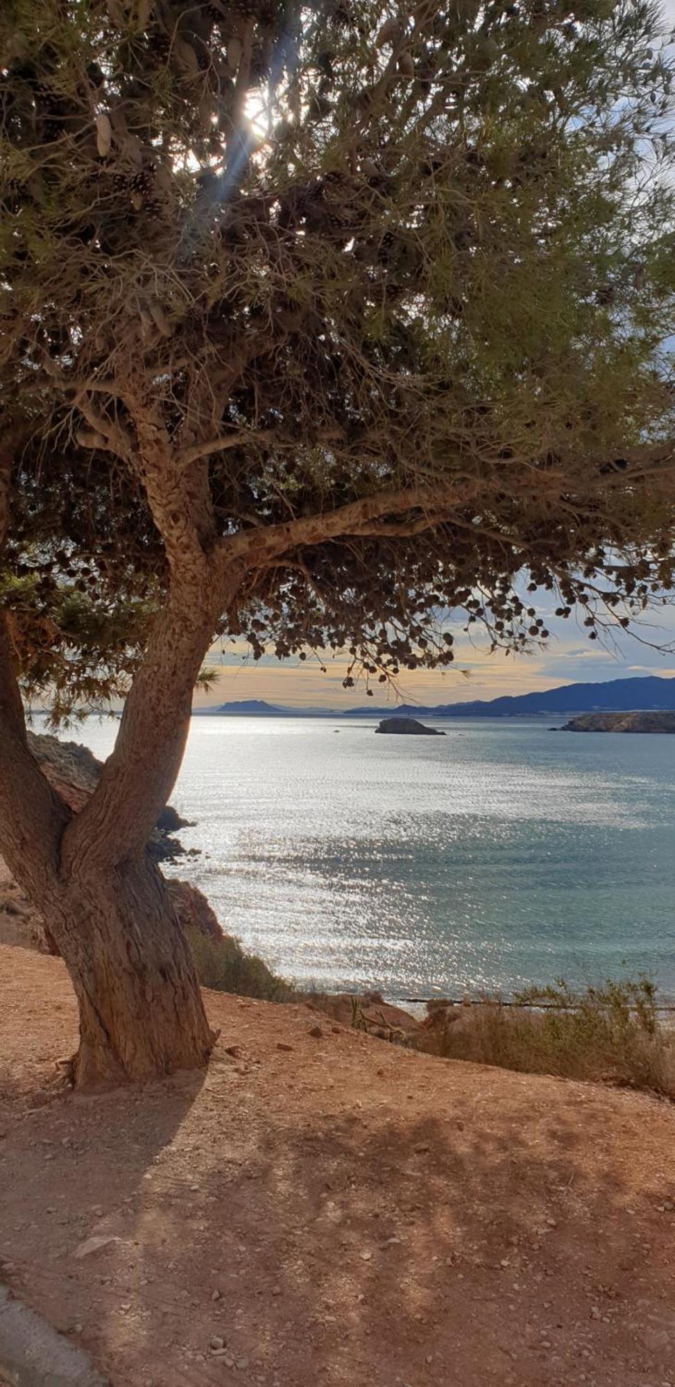 Acogedor Apartamento De Playa El Puerto de Mazarrón Eksteriør billede